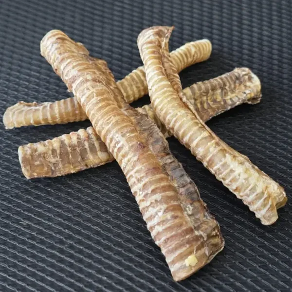 Paardenluchtpijp 20-30 cm 500gram