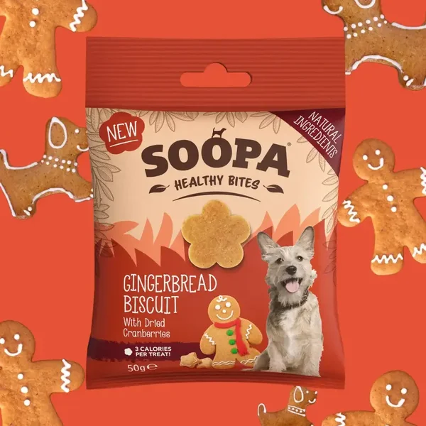 Soopa Bites - Gingerbread Biscuit