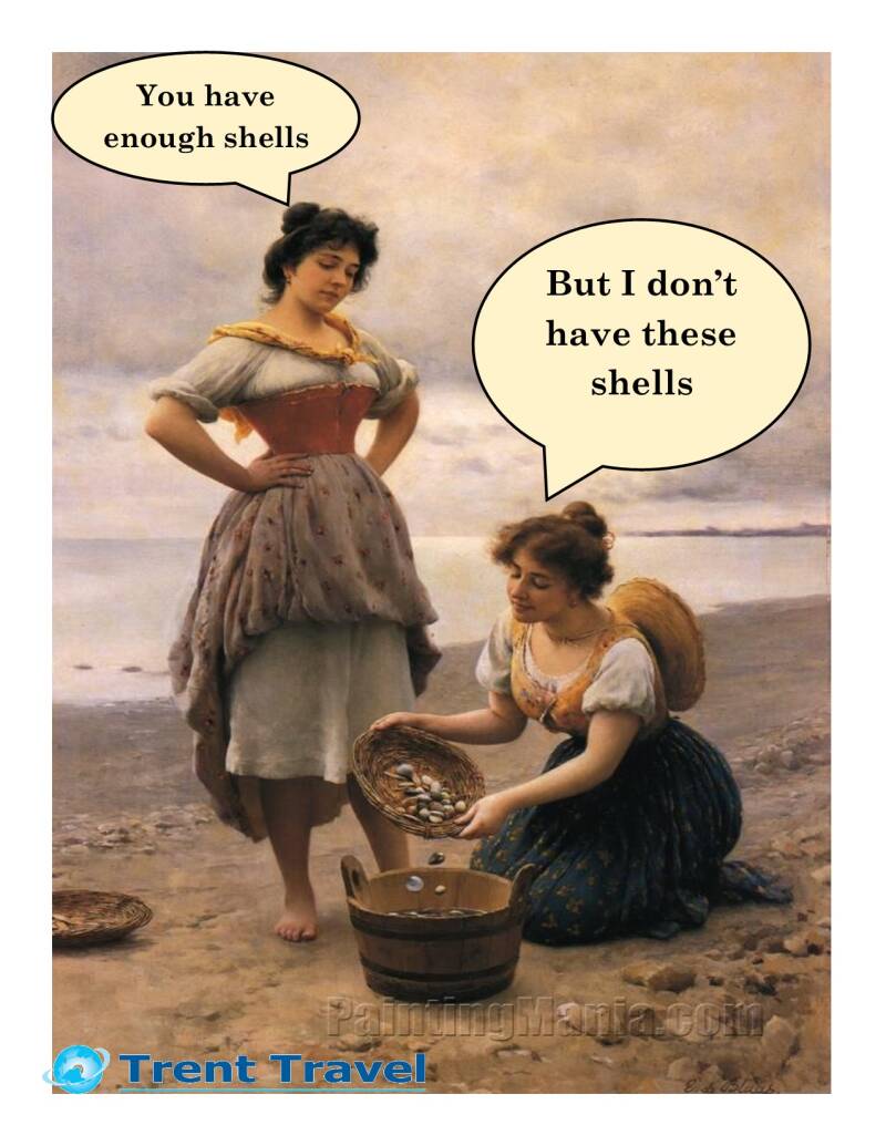 enough-shells-standard.jpg