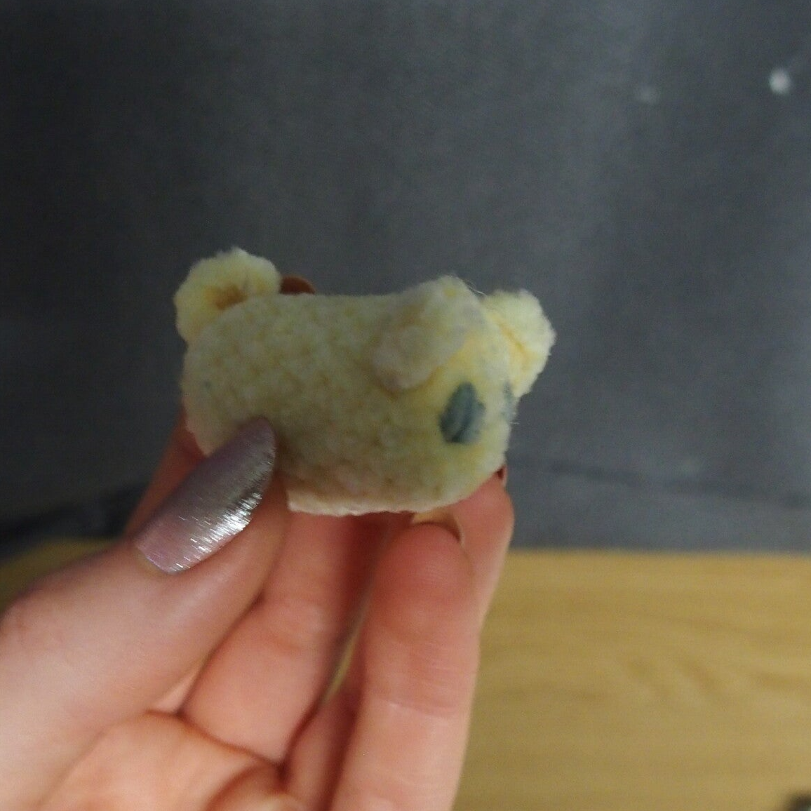 Catto without legs