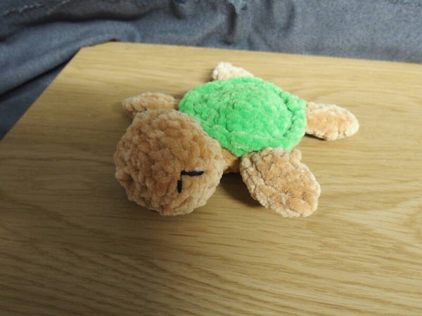 Turtle