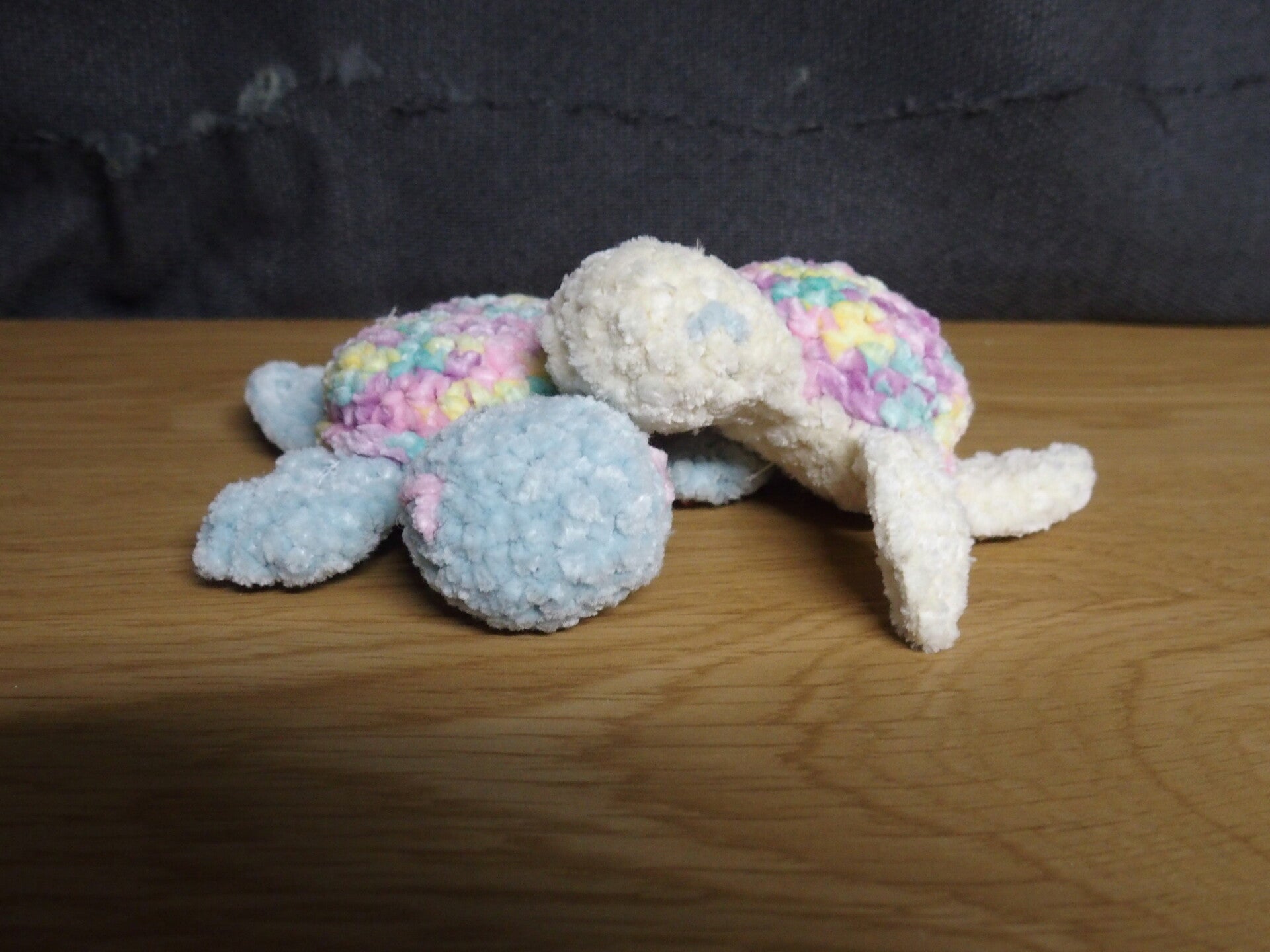 Pair of Colorful Turtles