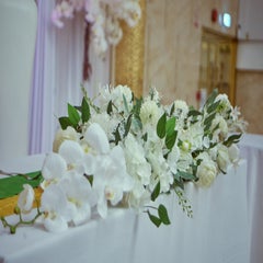 img_9871-standard.jpg