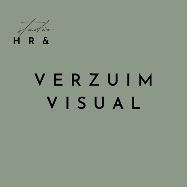 Verzuim Visual