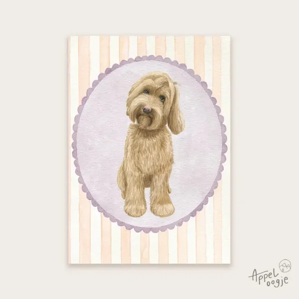 Ansichtkaart Labradoodle
