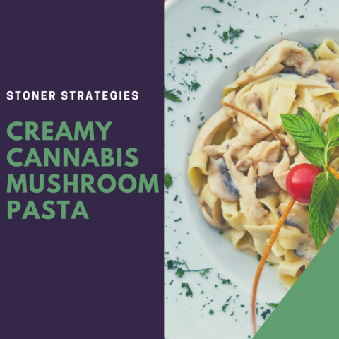 A bowl of Cannabis Creamy Mushroom Pasta topped with fresh parsley, featuring sautéed mushrooms and a rich sauce, ideal for cannabis edibles Stoner Strategies