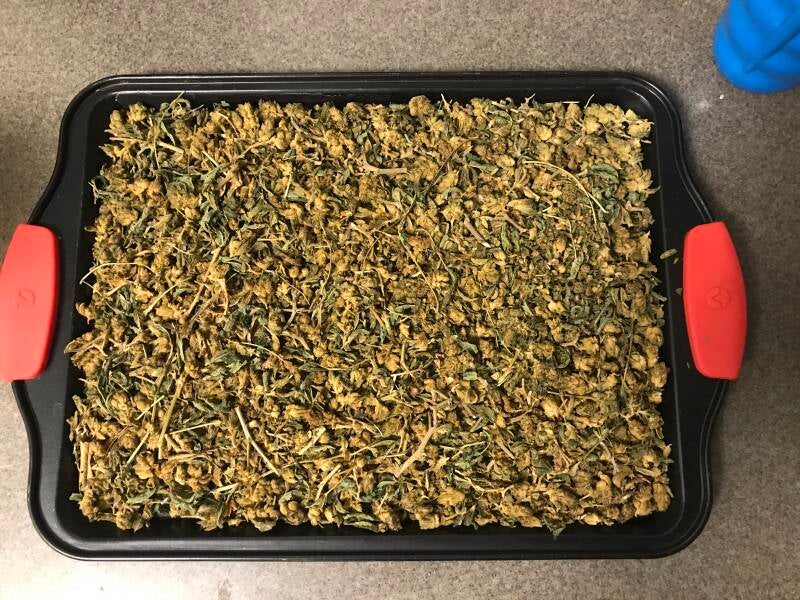 Close-up cannabis flower ready to be decarboxylated on an oven-safe tray,
