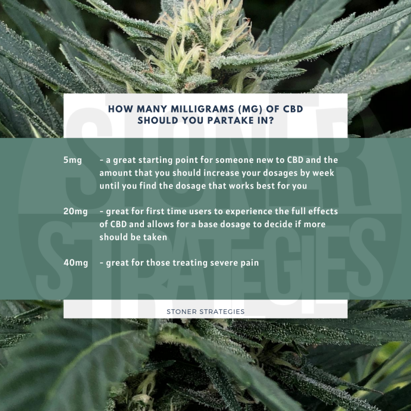 A chart showing CBD dosage levels for cannabis edibles, provided by Stoner Strategies