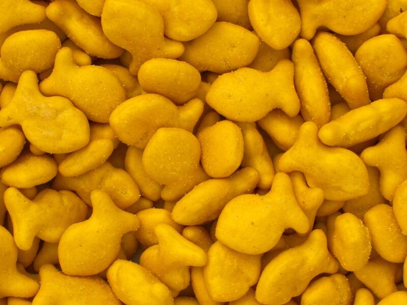 crunchy Cannabis Goldfish Crackers, perfect for cannabis edibles and stoner strategies enthusiasts.