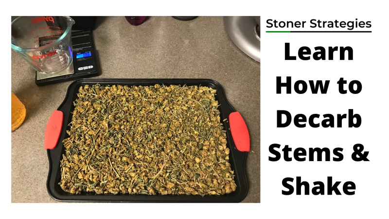 A tray of cannabis stems and shake on an oven safe pan ready to be decarboxylated with a measuring cup and scale in the upper left hand corner
