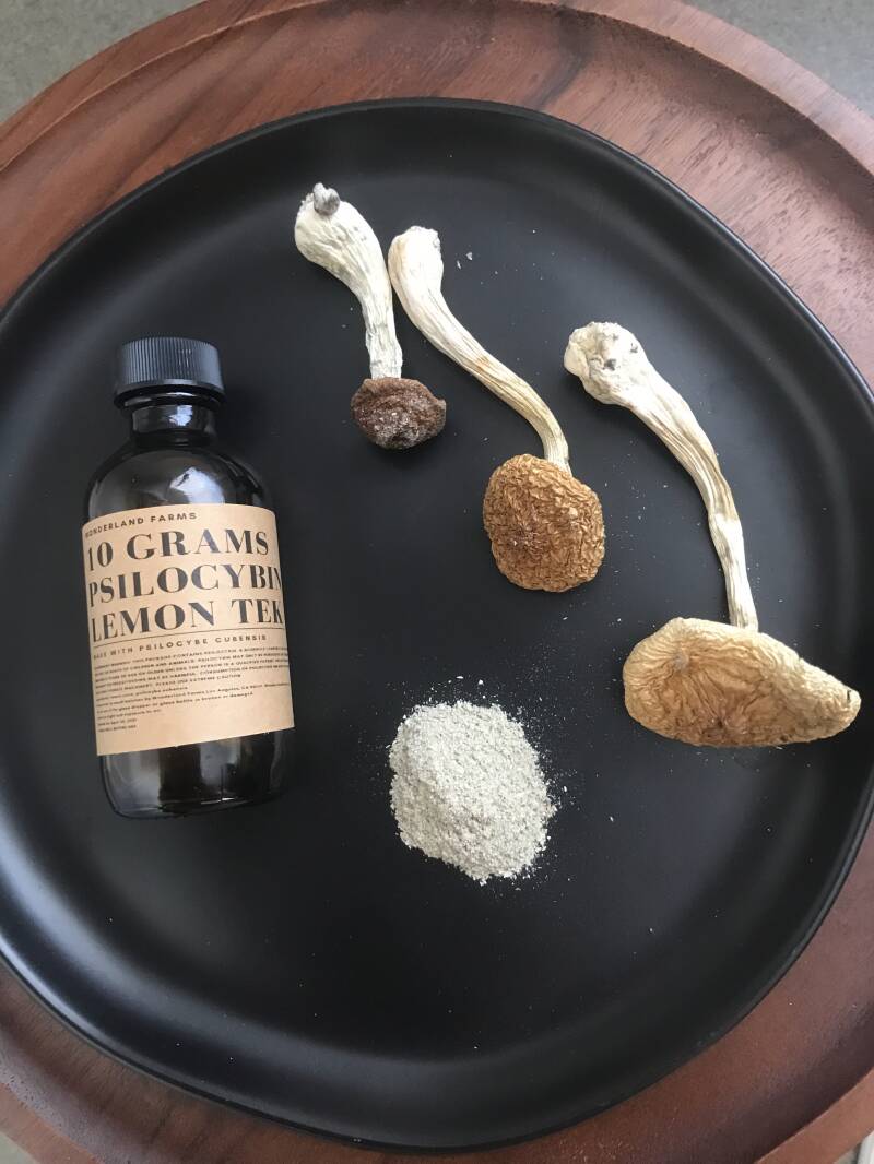 psilocybin powder for a shrooms edibles recipe, perfect for Stoner Strategies enthusiasts.