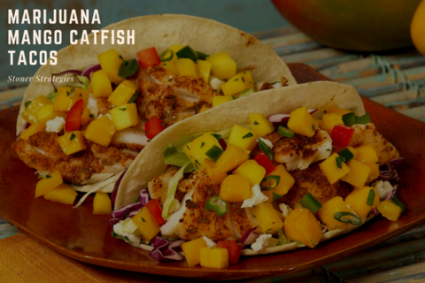 Colorful Cannabis Mango Catfish Tacos topped with fresh mango salsa and cotija cheese, a vibrant choice for cannabis edibles and Stoner Strategies fans