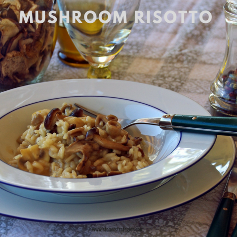 A bowl of Cannabis Mushroom Risotto topped with fresh parsley and a drizzle of cannaoil, a premier choice for cannabis edibles and Stoner Strategies fans