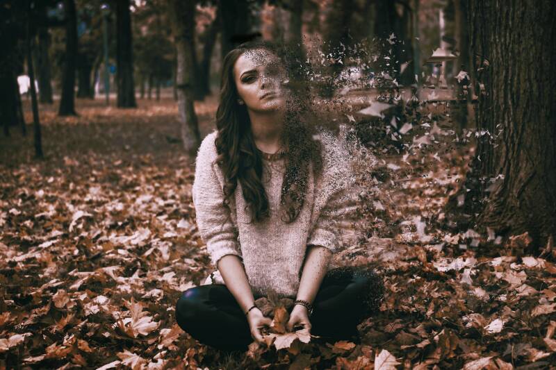 A scientific overview of serotonin, psilocybin, shrooms, and magic mushrooms, perfect for psychedelic edibles and Stoner Strategies enthusiasts.