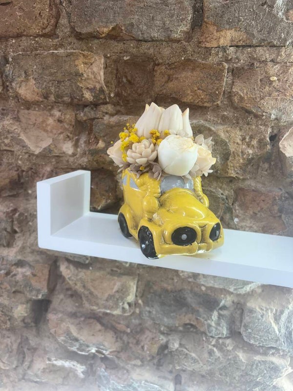 Simpaty car