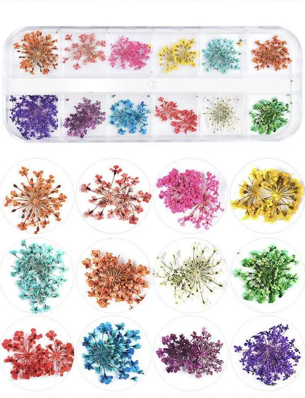 Lennox Lynn gedroogde bloemetjes