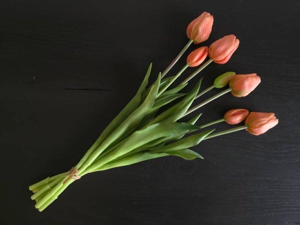 Kunsttulpen Peach met lange steel