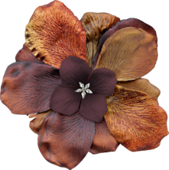 •	“Herfstcollage met Rough Collie en bladeren – PSP-les Autumn Collie.”