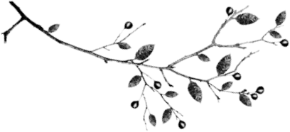 “Decoratieve elementen met groen, vogel en strik – PSP-les Lente Kriebel.”