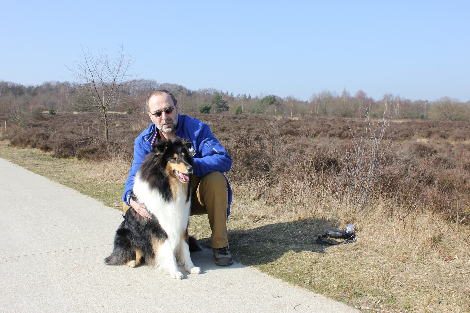 Dopey, wandelmaatje en trouwe collie “Schotse collie Dopey” i