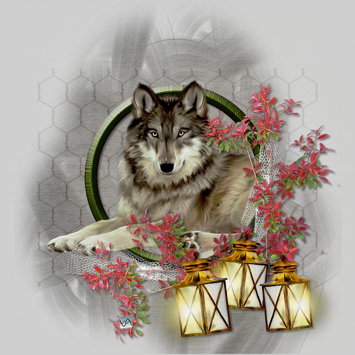 Illustratie van liggende wolf in groene omlijsting met rode bladeren, witte kant en gouden lantaarns — sfeerbeeld voor PSP-les Wolf in Spotlight op Hobby4me.