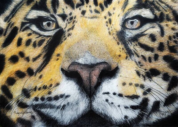 Magnificence - Open Edition Giclée Print - Unframed