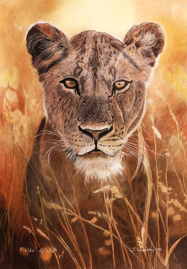 Fields of Gold - Original