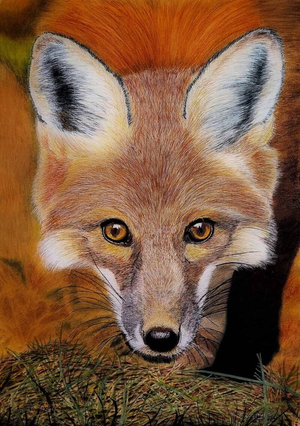 Wize Vixen - Open Edition Giclée Print