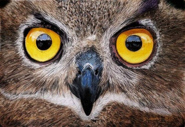 The Longest Stare - Open Edition Giclée Print Unframed