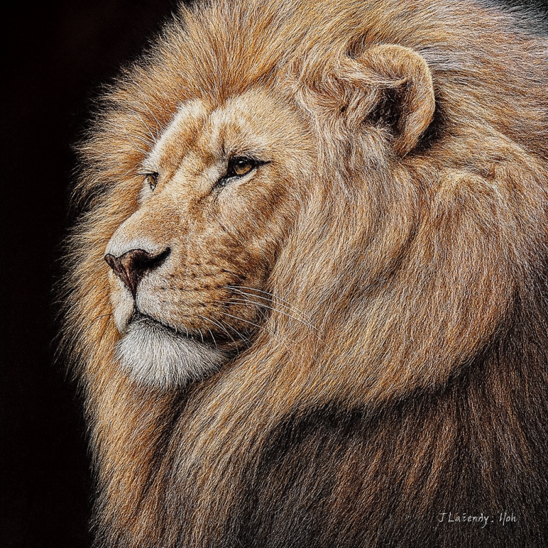 king-standard-fkjtei.png