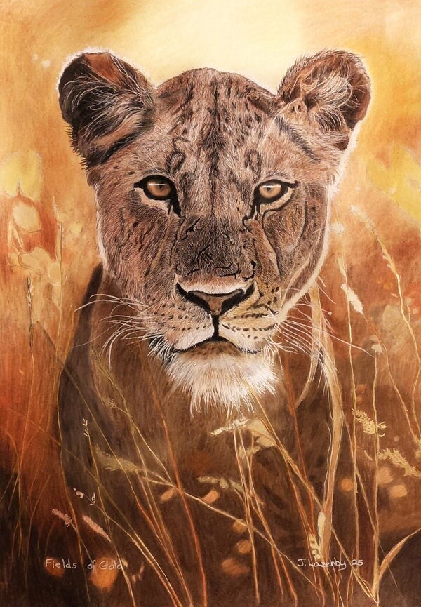 Fields of Gold - Original Art