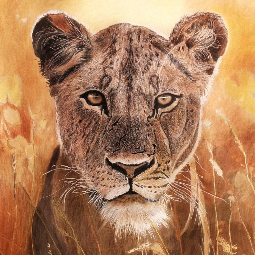 Fields of Gold - Greetings Card