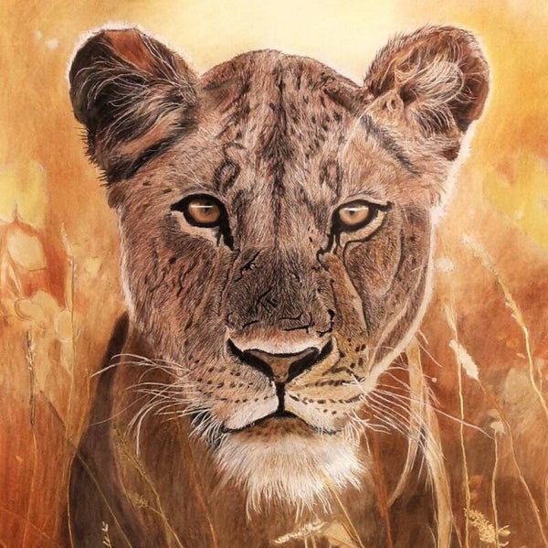 Fields of Gold - Greetings Card