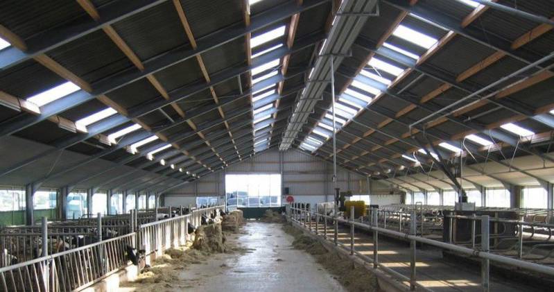 brandblussers-veestal