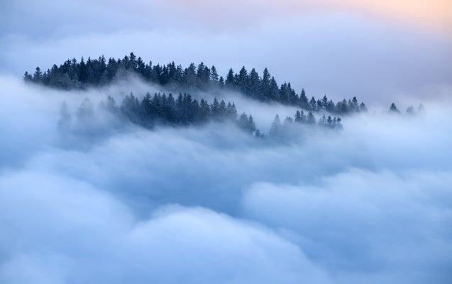 doerflinger-corinne-fog-waves-standard.jpg