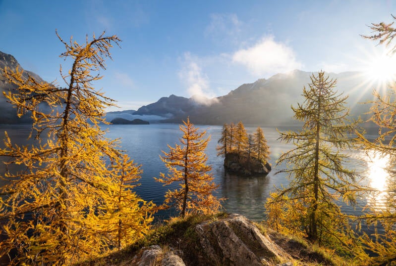 herbstmorgen-im-engadin-standard.jpg