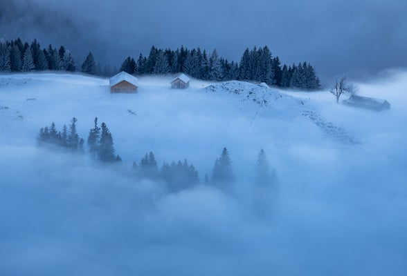 nebliger-wintermorgen-standard.jpg