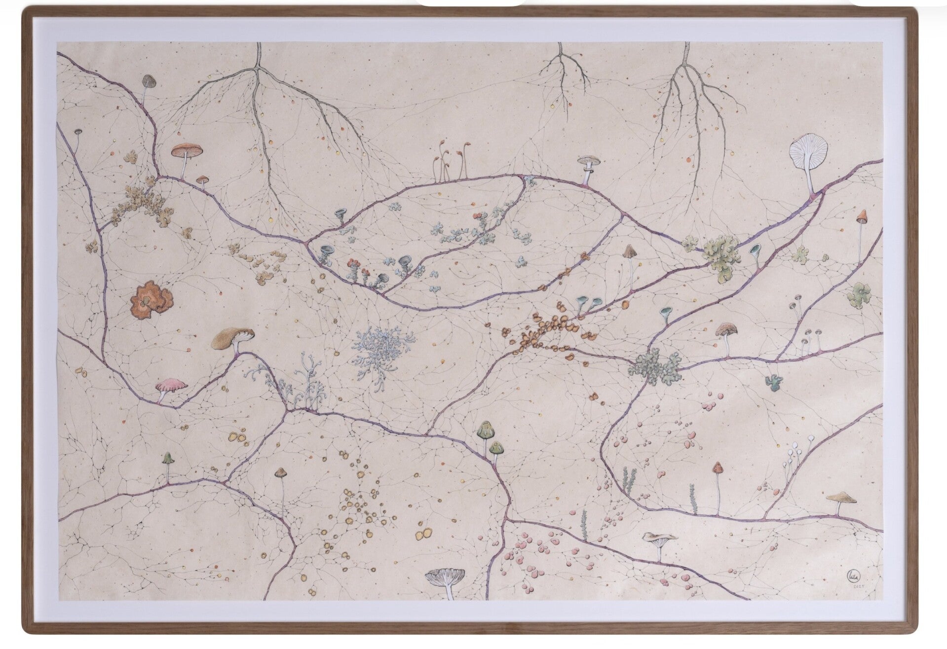 Rootmap I by Kika Notten, 2025