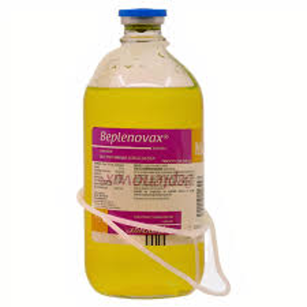BEPLENOVAX MULTIVITAMINICO CON GLUCOSA PISA 1.0L