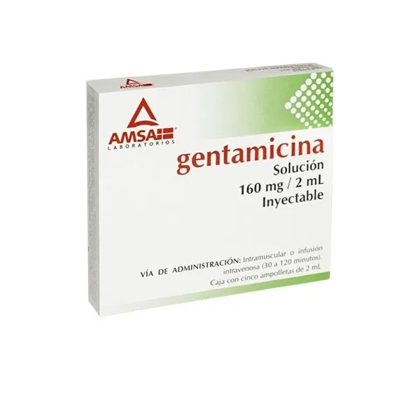 GENTAMICINA 160MG/2ML INY C/5 AMP AMSA