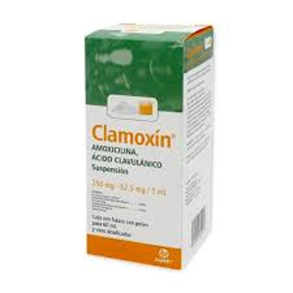 CLAMOXIN SUSP (AMOXICILINA/AC. CLAVULANICO 250MG-62.5MG/5ML) 60ML