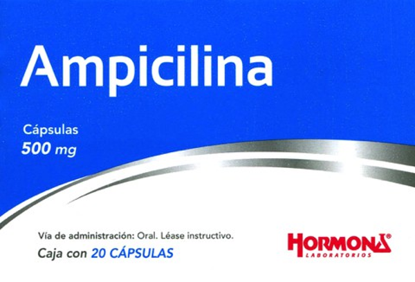 AMPICILINA 500.00 MG CAPS. C/20 HORMONA