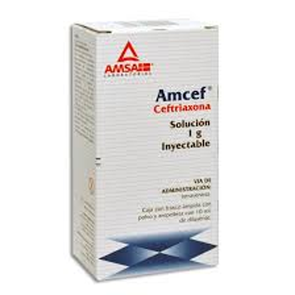 AMCEF  CEFTRIAXONA 1.00 G I.V INYEC.