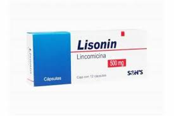 LISONIN CAPS. LINCOMICINA 500MG C/12	LISONIN CAPS. LINCOMICINA 500MG C/12	0%	62,19	54,07