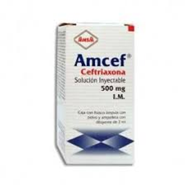 CEFTRIAXONA 500.00 MG AMCEF INY.