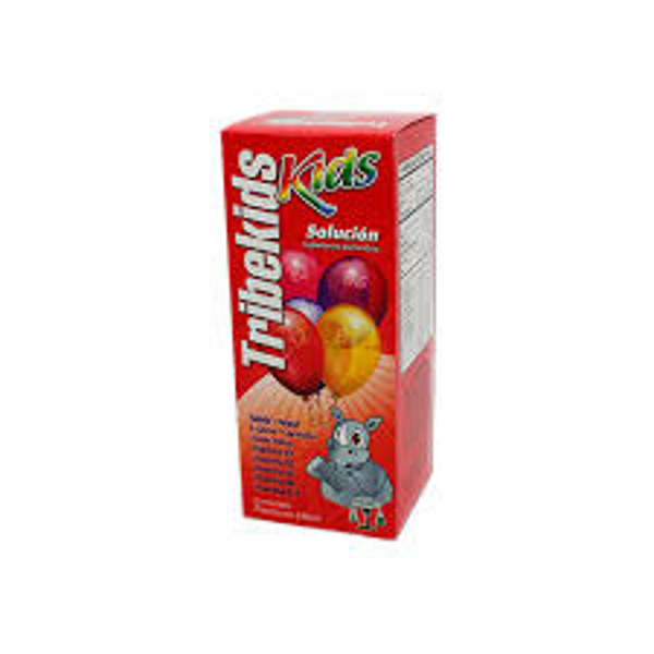 TRIBEDOCE KIDS (ACIDO FOLICO 1.00 S/G L-CARNITINA 1.00 S/G VITAMINA B2 1.00 S/G VITAMINA B6 1.00 S/G L-LISINA 1.00 S/G VITAMINA B3 1.00 S/G VITAMINA B1 1.00 S/G)