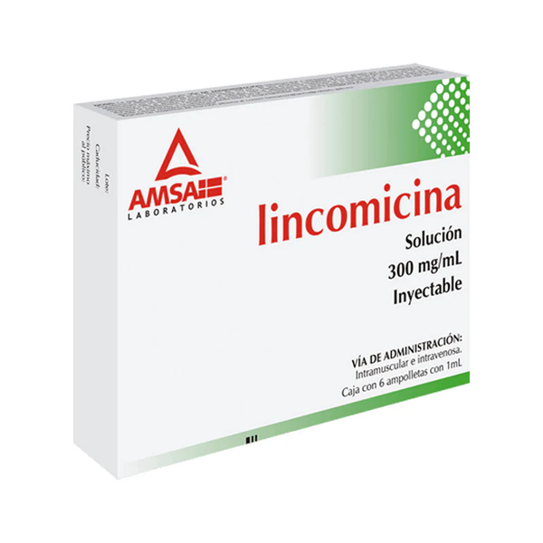 LINCOMICINA 300MG/ML 6AMP SOL AMSA