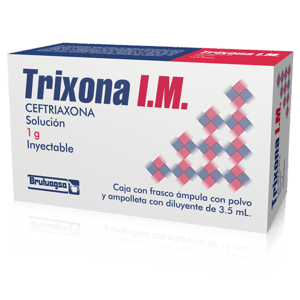 TRIXONA IM 1G (CEFTRIAXONA 1.00 G LIDOCAINA 40.00 MG) AMP