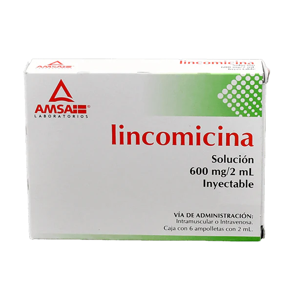 LINCOMICINA 600MG INYECTABLE AMSA C/6 AMP
