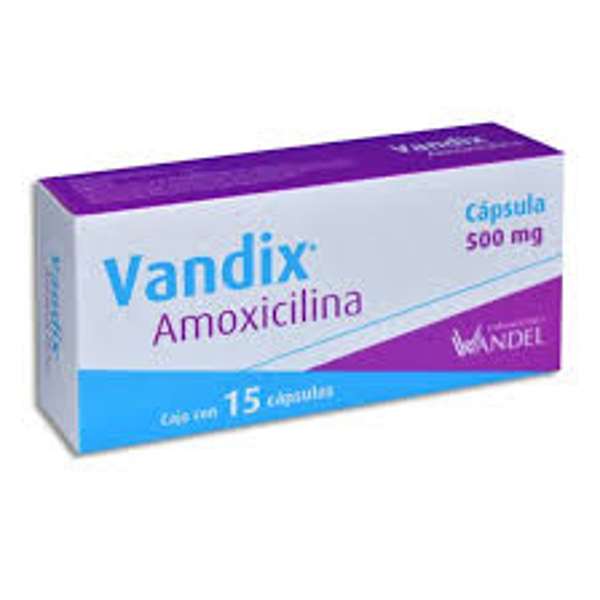 VANDIX AMOXICILINA 500MG CAPS. C/15